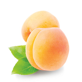 Apricot