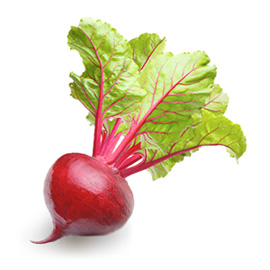 Barbabietola