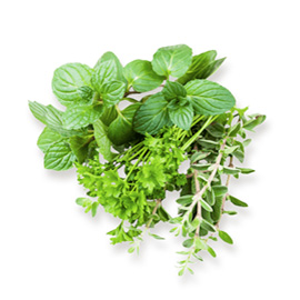 Erbe Aromatiche