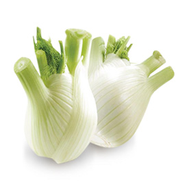 Fennel