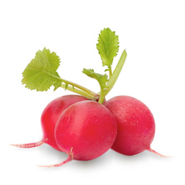 Radish