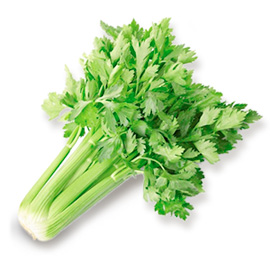 celery