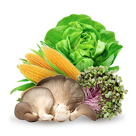 Verdure a foglia, germogli, <br>funghi, mais